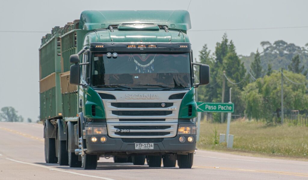 truck, logging truck, road, highway, route, pavement, cargo, wood transport, transport, vehicle, truck, truck, truck, truck, truck, cargo, cargo